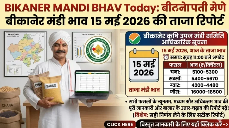 Bikaner Mandi Bhav Today