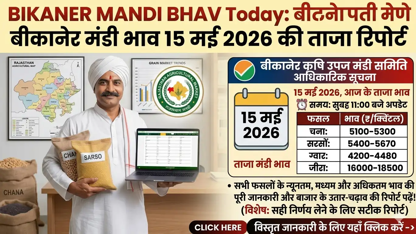 Bikaner Mandi Bhav Today