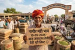Nagaur Mandi Bhav