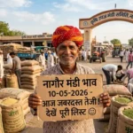 Nagaur Mandi Bhav