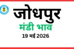 जोधपुर मंडी भाव (19 मई 2026)