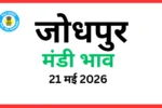 जोधपुर मंडी भाव (21 मई 2026)