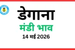 डेगाना मंडी भाव (14 मई 2026)