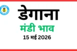 डेगाना मंडी भाव (15 मई 2026)