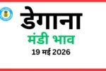 डेगाना मंडी भाव (19 मई 2026)