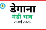 डेगाना मंडी भाव (25 मई 2026)