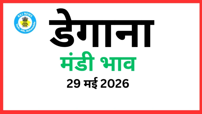 डेगाना मंडी भाव (29 मई 2026)