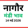 नागौर मंडी भाव (14 मई 2026)