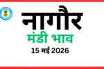 नागौर मंडी भाव (15 मई 2026)