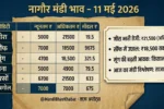 नागौर मंडी भाव