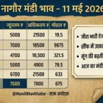 नागौर मंडी भाव