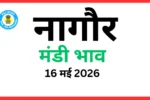 नागौर मंडी भाव (16 मई 2026)