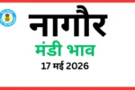 नागौर मंडी भाव (17 मई 2026)