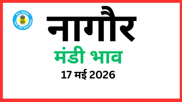 नागौर मंडी भाव (17 मई 2026)