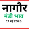 नागौर मंडी भाव (17 मई 2026)
