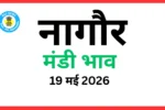 नागौर मंडी भाव (19 मई 2026)