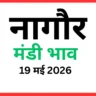 नागौर मंडी भाव (19 मई 2026)