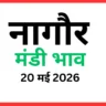 नागौर मंडी भाव (20 मई 2026)