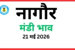 नागौर मंडी भाव (21 मई 2026)