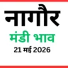 नागौर मंडी भाव (21 मई 2026)