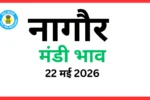 नागौर मंडी भाव (22 मई 2026)