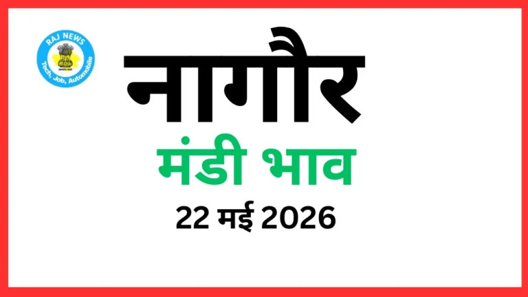 नागौर मंडी भाव (22 मई 2026)
