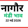 नागौर मंडी भाव (22 मई 2026)