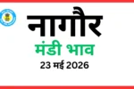 नागौर मंडी भाव (23 मई 2026)