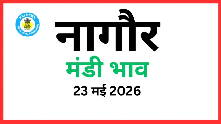 नागौर मंडी भाव (23 मई 2026)
