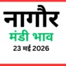 नागौर मंडी भाव (23 मई 2026)