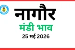 नागौर मंडी भाव (25 मई 2026)
