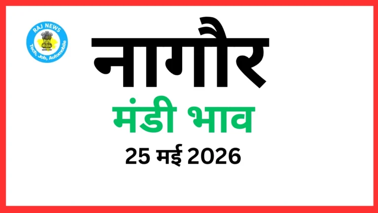 नागौर मंडी भाव (25 मई 2026)