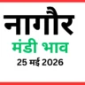 नागौर मंडी भाव (25 मई 2026)