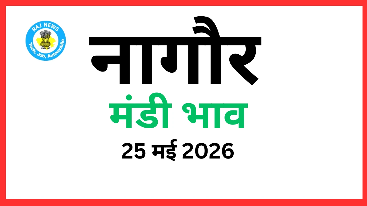 नागौर मंडी भाव (25 मई 2026)