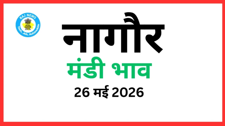 नागौर मंडी भाव (26 मई 2026)