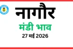 नागौर मंडी भाव (27 मई 2026)