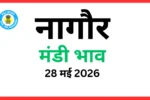 नागौर मंडी भाव (28 मई 2026)