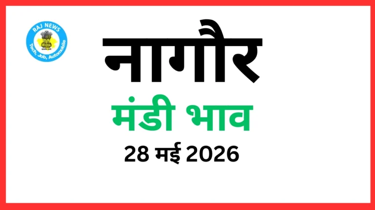 नागौर मंडी भाव (28 मई 2026)