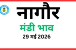 नागौर मंडी भाव (29 मई 2026)