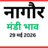 नागौर मंडी भाव (29 मई 2026)