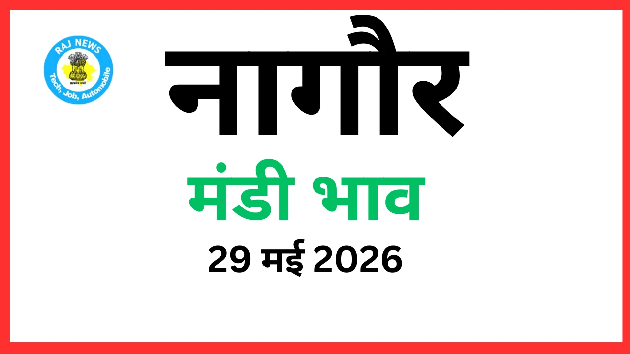 नागौर मंडी भाव (29 मई 2026)