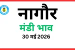 नागौर मंडी भाव (30 मई 2026)