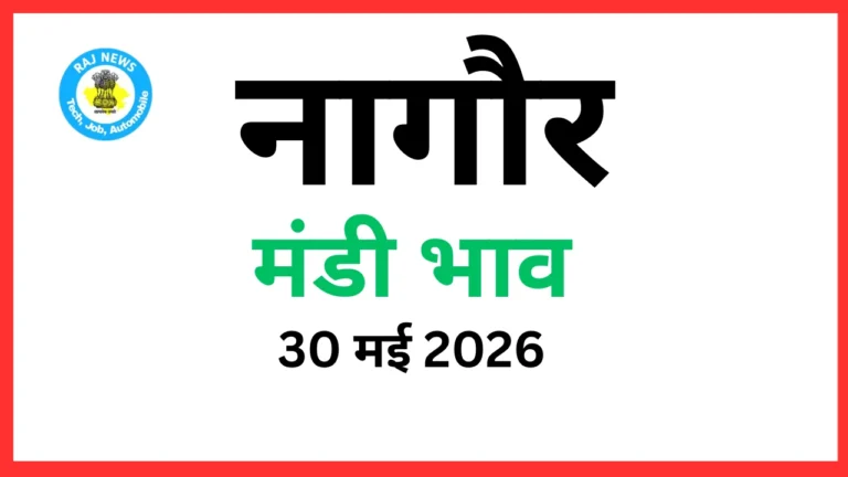 नागौर मंडी भाव (30 मई 2026)