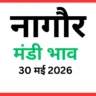 नागौर मंडी भाव (30 मई 2026)
