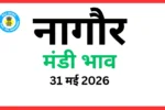 नागौर मंडी भाव (31 मई 2026)