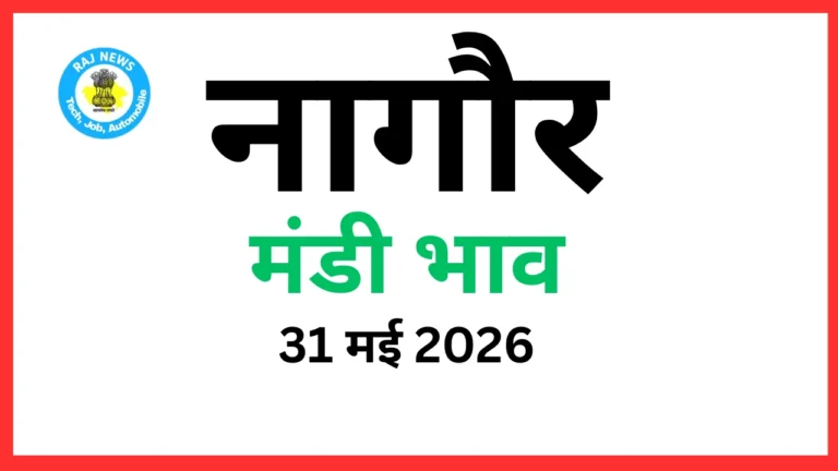 नागौर मंडी भाव (31 मई 2026)