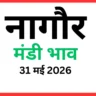 नागौर मंडी भाव (31 मई 2026)