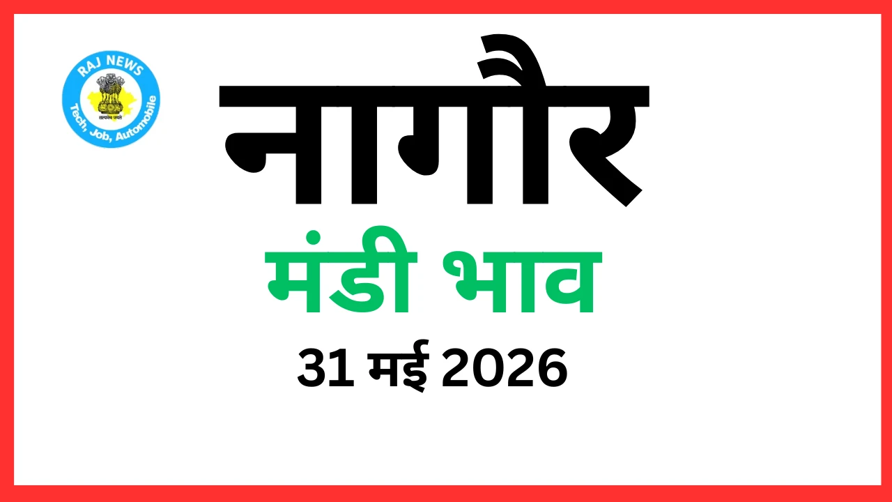 नागौर मंडी भाव (31 मई 2026)
