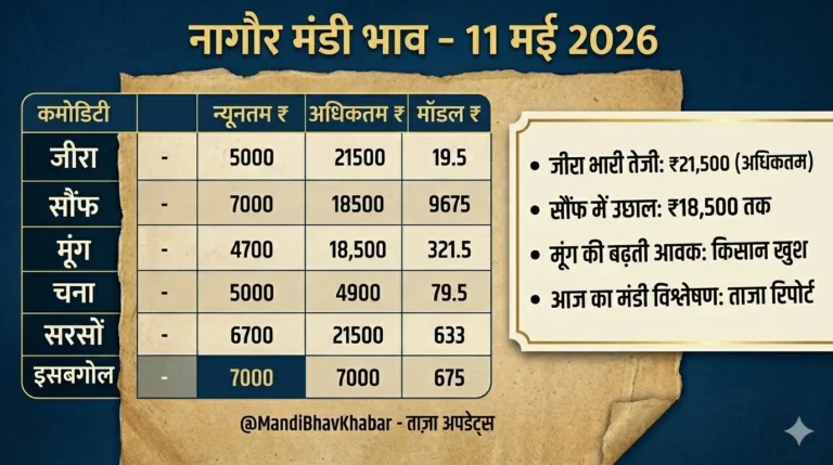 नागौर मंडी भाव
