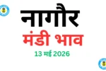 नागौर मंडी भाव